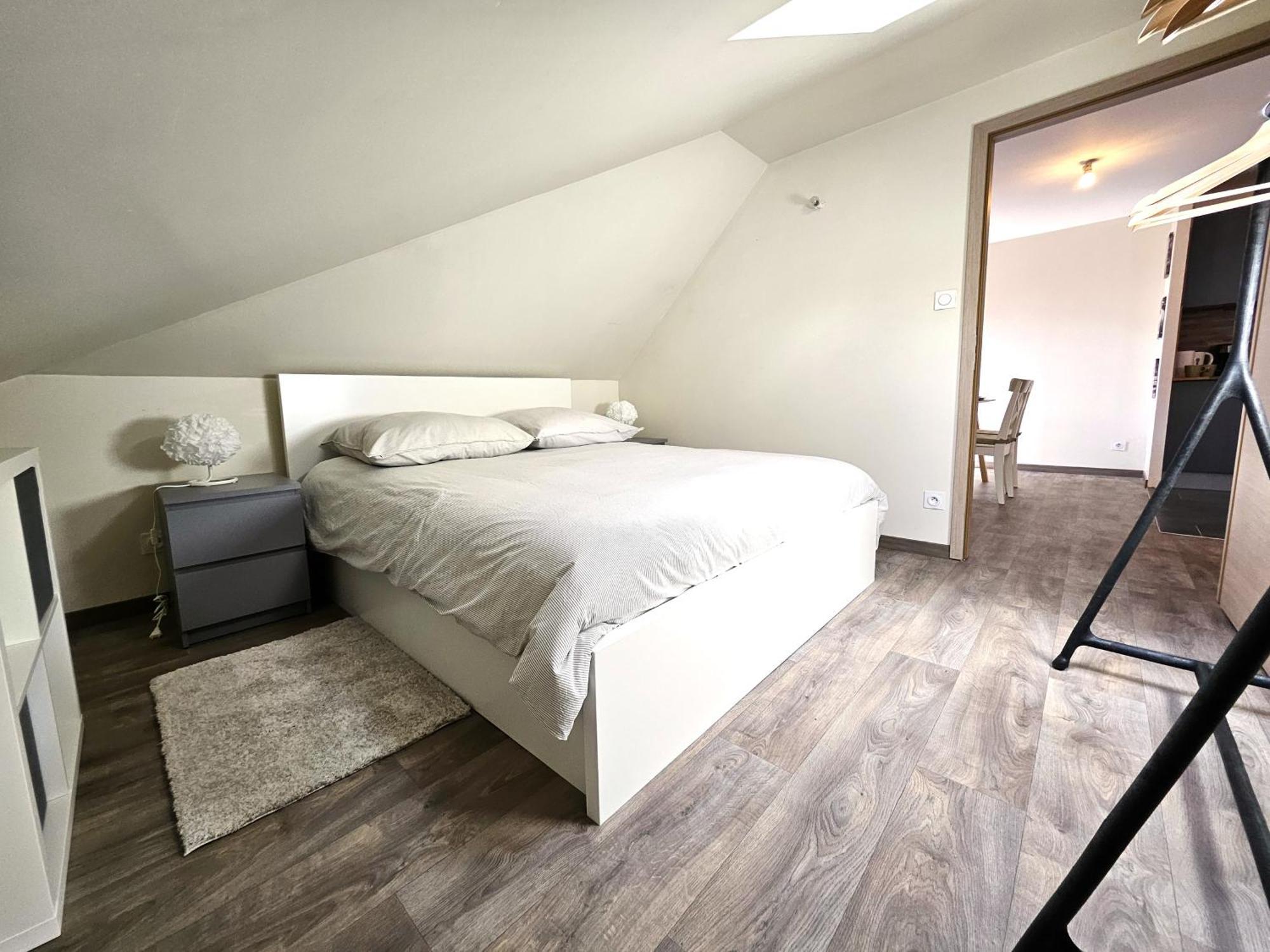 Thannt3-centre Ville-garage Prive Appartement Colmar